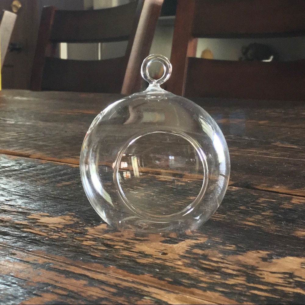Air Plant Container - Glass Sphere - 3 x 3 inches. Perfect condition.